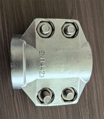 Acciaio inossidabile Precision Investment Casting hose fitted with safety clamps