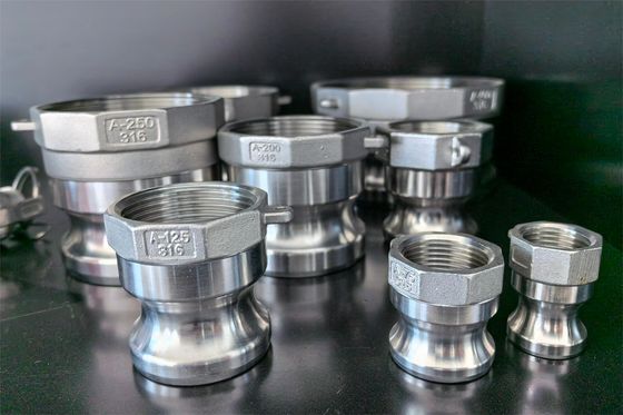 Fusione di precisione di dimensioni personalizzate per applicazioni industriali Camlocks ecc.